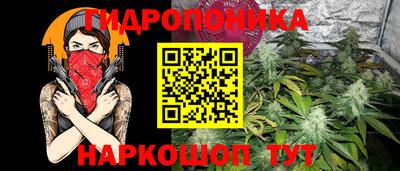 МДПВ Пушкино