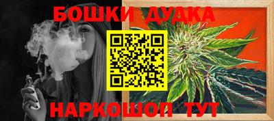 МДПВ Пугачёв