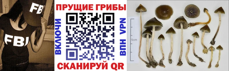 Галлюциногенные грибы мухоморы Янаул